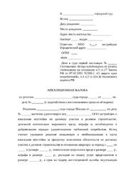 Апелляционная жалоба с ходатайством о восстановлении срока на ее подачу на решение суда первой инстанции по гражданскому делу 10 л.
