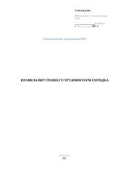 Правила внутреннего трудового распорядка